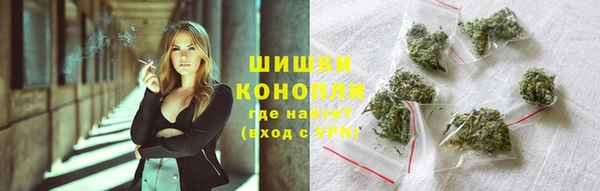гашик Алексеевка