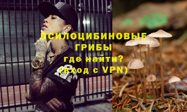 гашик Михайловск