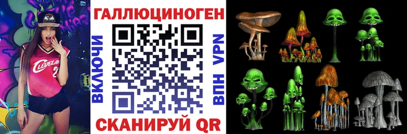 Псилоцибиновые грибы Psilocybe  kraken tor  Устюжна 